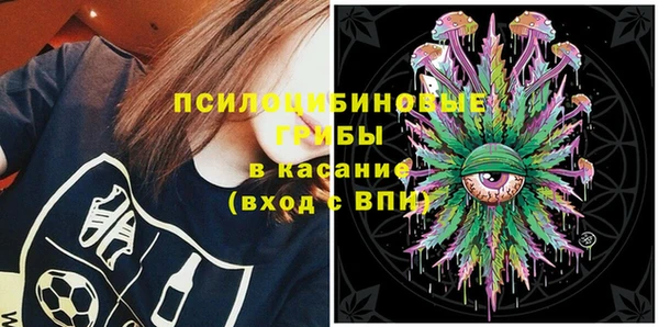 apvp Волосово