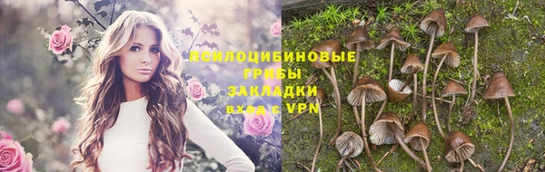 apvp Волосово